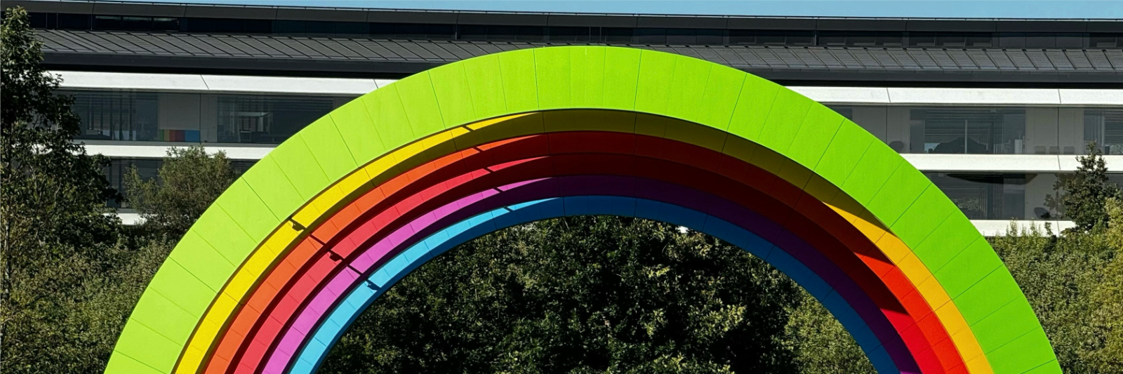 Profile Banner