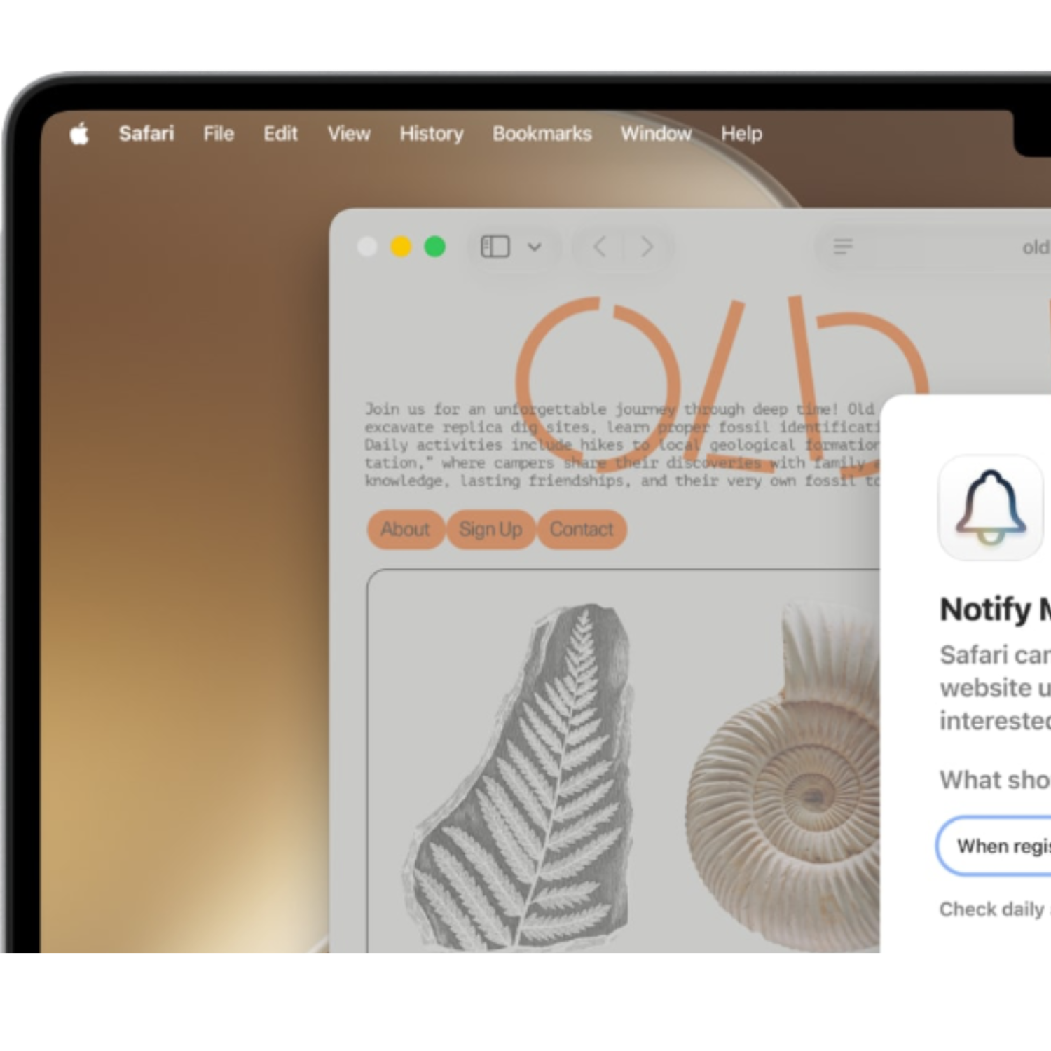 A screenshot of the mac menu bar